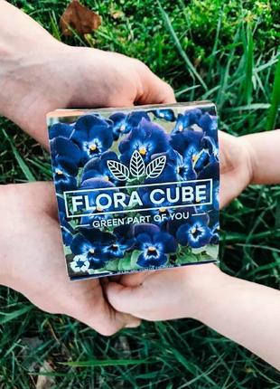 Креативный подарок flora cube фиалка (набор для выращивания)2 фото