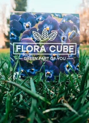 Креативный подарок flora cube фиалка (набор для выращивания)1 фото