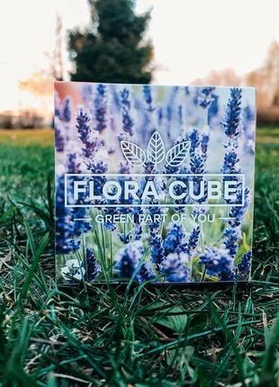 Відмінний подарунок (сувенір) flora cube лаванда