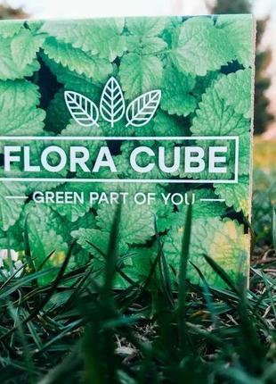 Подарунок, сувенір, набір для вирощування flora cube меліса дніпро - зображення 1 подарунок, сувенір, н