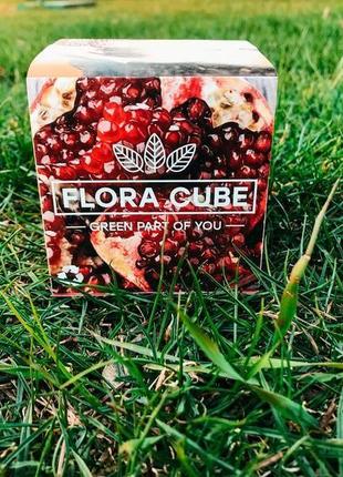 Сувенир, подарок, набор для выращивания flora cube гранат1 фото