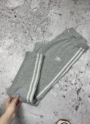 Костюм спортивный серый adidas originals2 фото