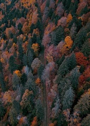 Теплий меланжевий светр в кольорі осінній ліс9 фото