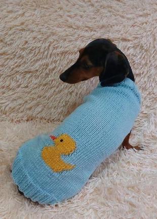 Теплый свитер для таксы с уткой,теплая одежка свитер для собаки1 фото