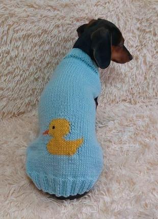 Теплый свитер для таксы с уткой,теплая одежка свитер для собаки4 фото