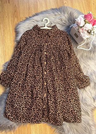 Неймовірна стильна сукня сорочка леопардовий принт для дівчинки 4/5р next1 фото