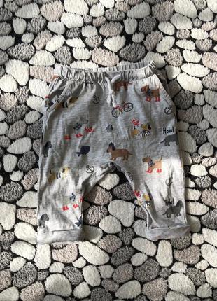 Брюки с животными 74 см 6-9 месяцев h&m