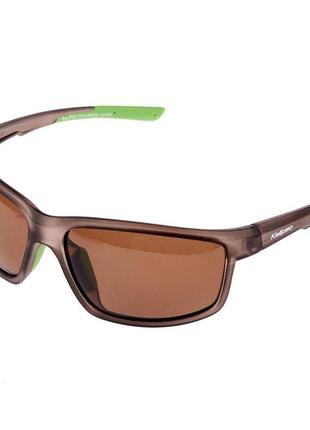 Очки kalipso polarized br1022cg/gr-c