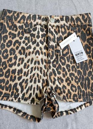 Леопардовые шорты2 фото