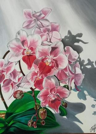 Картина олійними фарбами "орхідея"2 фото