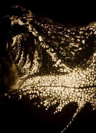 Хамелеон з мерехтінням в темряві 3d барельєф ручна робота1 фото