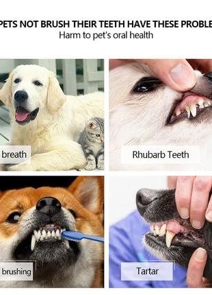 Трёхсторонняя зубная щётка для собак/кошек3 фото