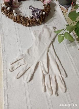 Длинные перчатки