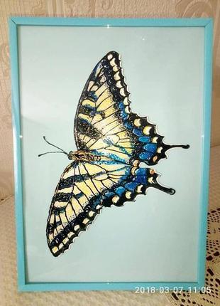 Картина вітражними фарбами на склі "метелик"2 фото