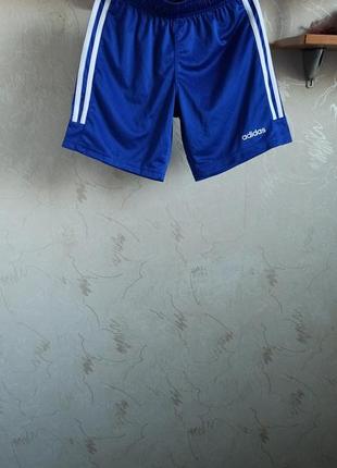 Спортивные шорты adidas