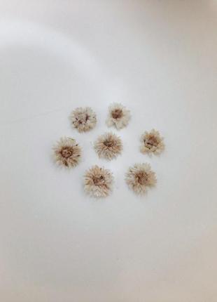 Білі квіти до 1 см для епоксидної смоли.1 фото