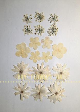 Набор белых цветов (18 шт)1 фото