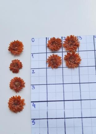 Оранжевые пушистые сухоцветы, поштучно3 фото