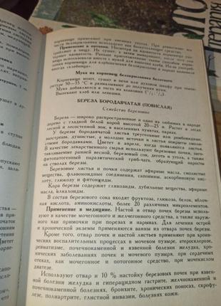 Целебные растения лекарственные свойства, кулинарные рецепты, приминение в косметике3 фото