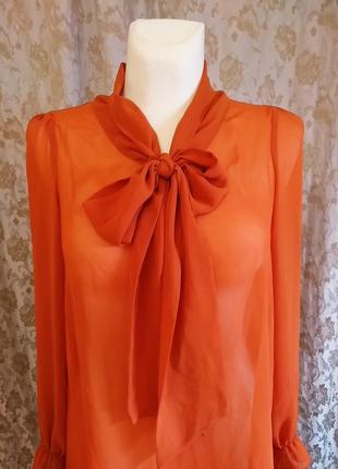 Блуза тренд 2021 стильна на зав'язках крутая оранжевая блуза с бантом прозрачная1 фото