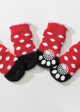 Шкарпетки для собак pet style "горошок" червоні 3