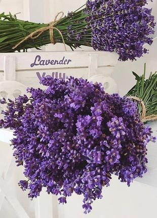 Букет лаванди