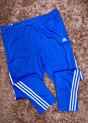 Спортивный костюм adidas6 фото