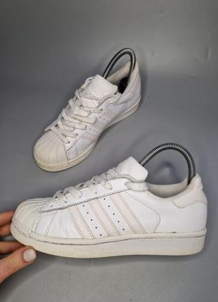 Кросівки adidas superstar