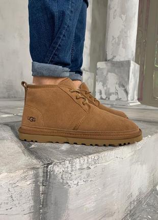 Зимние мужские ботинки с мехом ugg ginger коричневые (уггі, черевики)