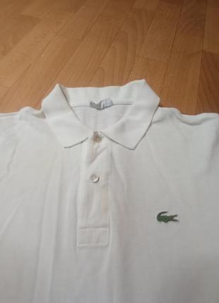 Lacoste3 фото