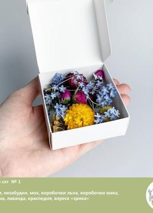 Сухоцвіти для прикрас зі смоли гербарій маленькі квіти (квітковий сет №1) dry flowers6 фото