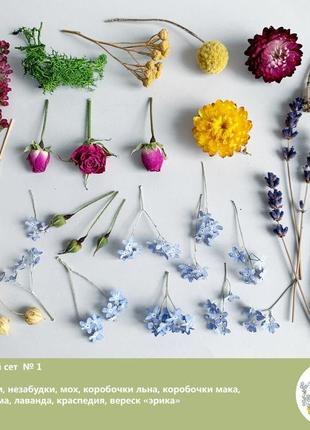 Сухоцвіти для прикрас зі смоли гербарій маленькі квіти (квітковий сет №1) dry flowers1 фото