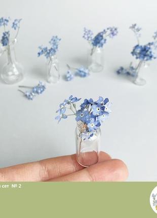 Сухоцветы для украшений из смолы гербарий незабудки  (цветочный сет №2) dry flowers5 фото