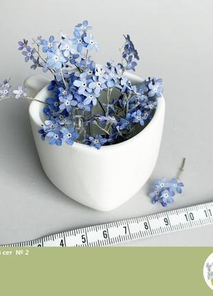 Сухоцветы для украшений из смолы гербарий незабудки  (цветочный сет №2) dry flowers7 фото