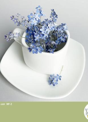 Сухоцвіти для прикрас зі смоли гербарій незабудки (квітковий сет №2) dry flowers4 фото