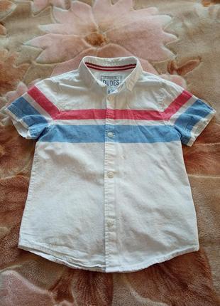 Детская одежда/коттоновая рубашка на 5-6 лет, 110/116 размер, коттон #