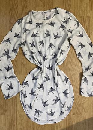 H&m рубашка блуза с ласточками1 фото