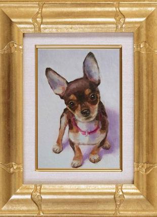 Картина собака портрет собаки чихуахуа6 фото
