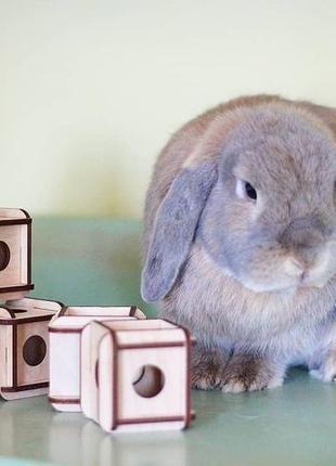 Кубики для кроликів8 фото