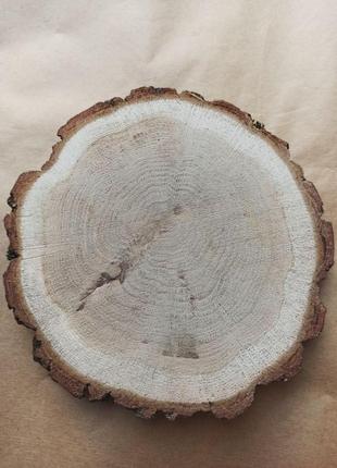 Спил дуба, деревянный срез4 фото
