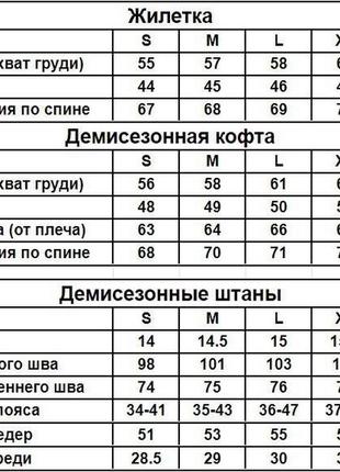 Комплект 3 в 1 чорний чоловічій демісезонний костюм з капюшоном на блискавці і жилетка8 фото