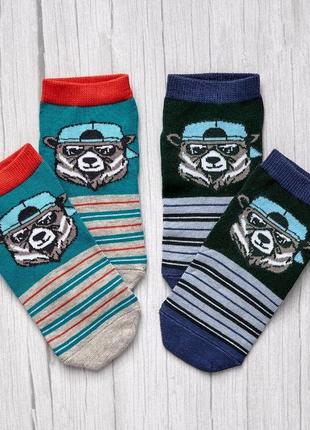 Комплект из 3-х пар детских носков «медведь в кепке» 22-242 фото