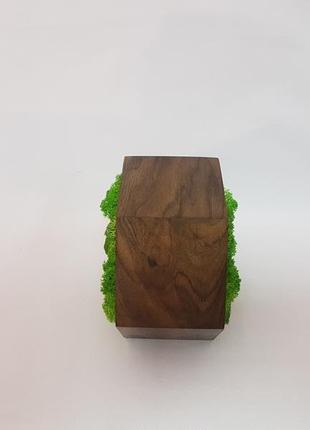 Двостороння шестикутна дерев'яна рамка з натуральним стабілізованим мохом.2 фото