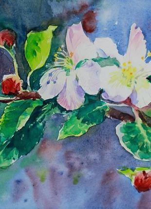 Оригінальна акварель яблуневий цвіт4 фото