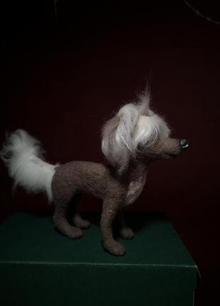 Китайська хохлата собачка валяна іграшка портретна собака хохлатая7 фото