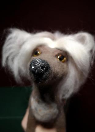 Китайська хохлата собачка валяна іграшка портретна собака хохлатая4 фото