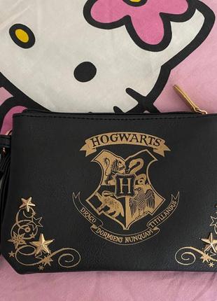 Сумка кошелек косметичка y2k dollskill killstar harry potter1 фото