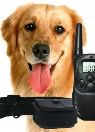 Электронный ошейник для тренировки собак dog training pr51 фото