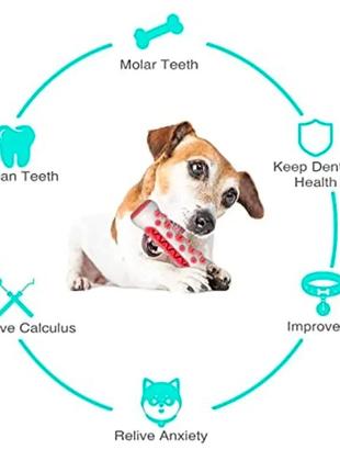 Зубна щітка іграшка для собак dog toothbrush-bone еластична гумова кістка для чищення зубів3 фото