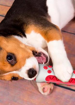 Зубна щітка іграшка для собак dog toothbrush-bone еластична гумова кістка для чищення зубів2 фото